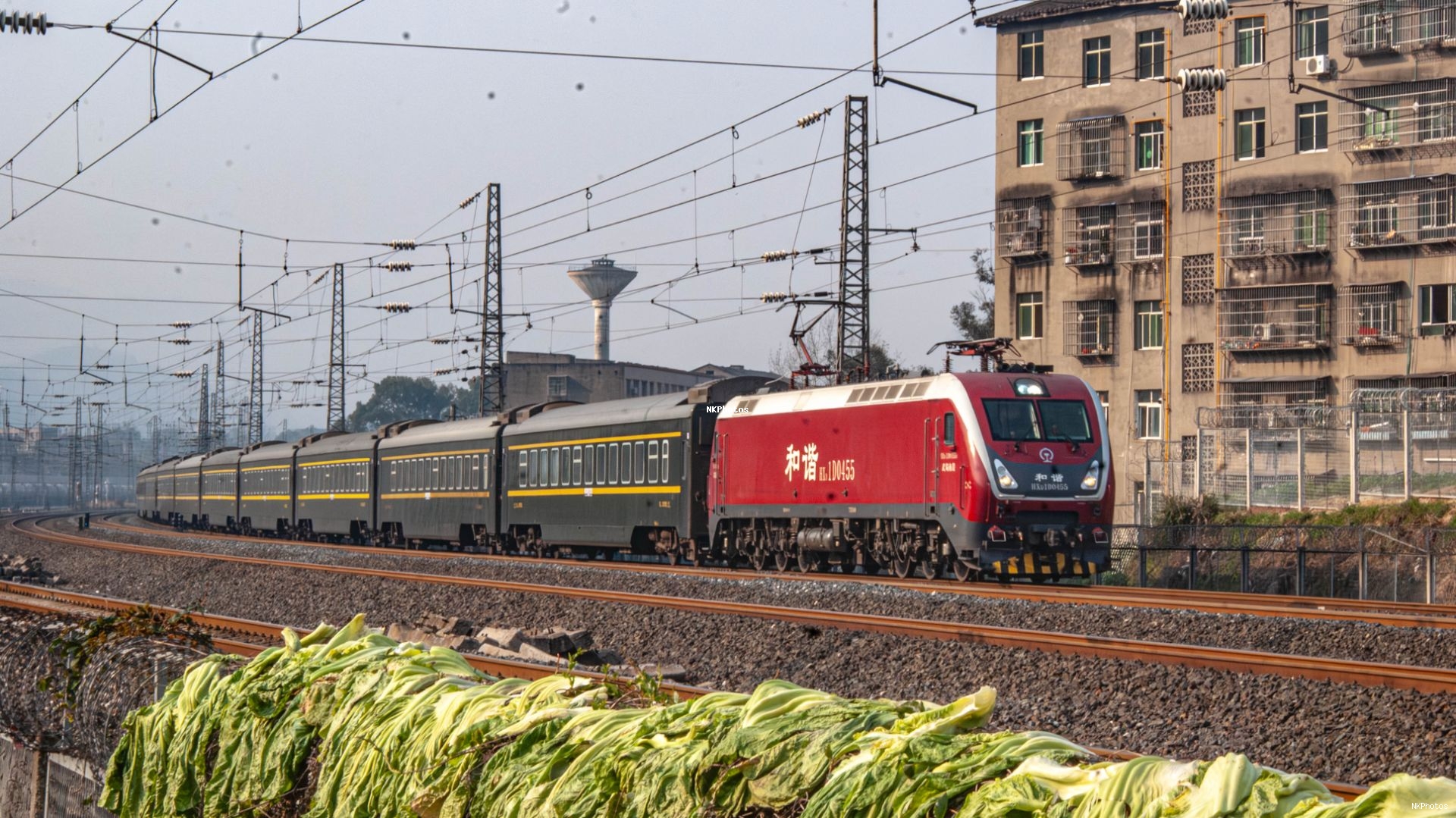 其实大头菜是主角